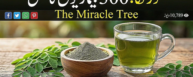 1774890854491