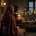 مجھے ناں کا حق دیا گیا ہے۔