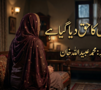 مجھے ناں کا حق دیا گیا ہے۔