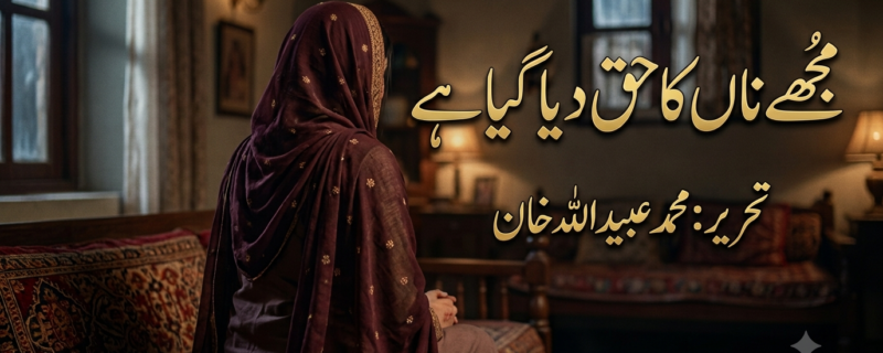 مجھے ناں کا حق دیا گیا ہے۔