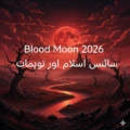 20260224_012852