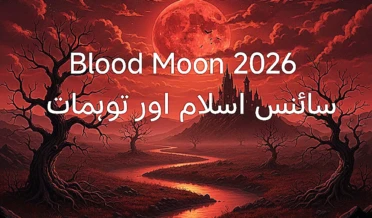 20260224_012852
